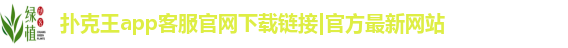 扑克王app客服